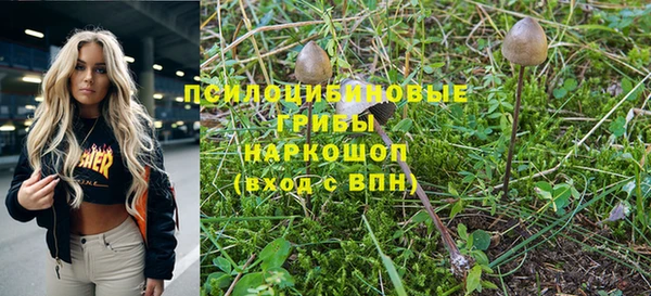героин Абаза