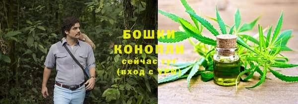 СК Абинск